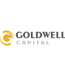 'Обманывает ли компания Goldwell Capital? Обзор проекта