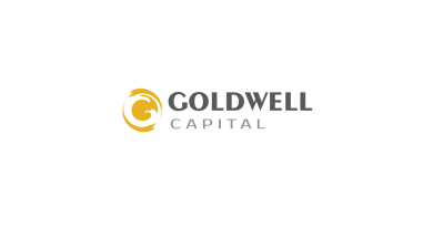 'Обманывает ли компания Goldwell Capital? Обзор проекта
