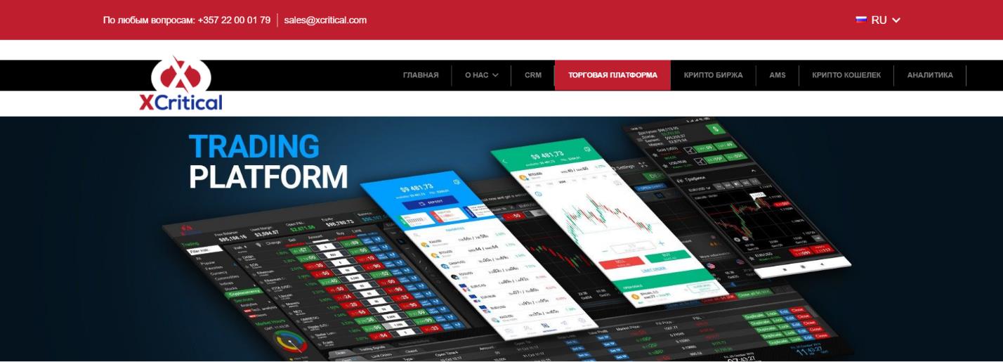Описание торговой платформы Xcritical: функционал и характеристика