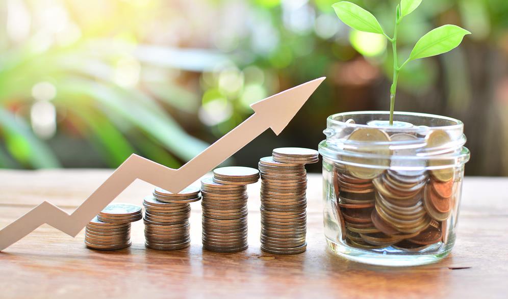 Как осуществить грамотное реинвестирование дивидендов?